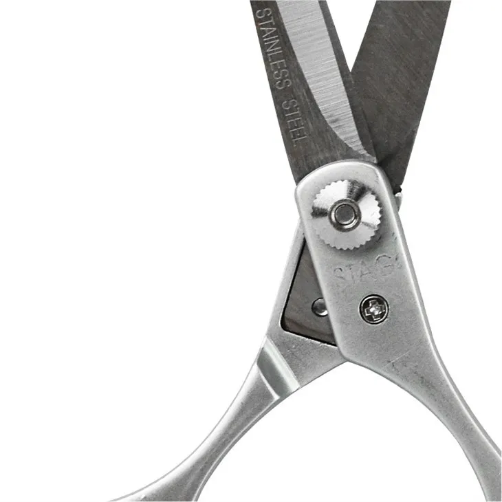 Professional Haircut Scissors