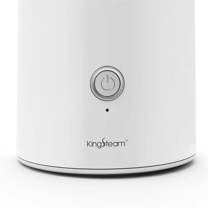 Ozone Steamer Facial